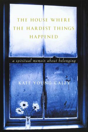 Book cover of The House Where the Hardest Things Happened