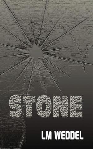 Cover of the book Stone by Anna J. Smith