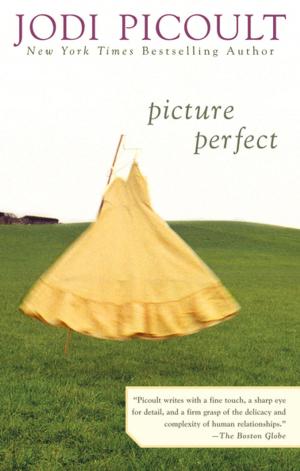 Cover of the book Picture Perfect by Greg Iles