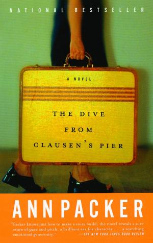 bigCover of the book The Dive From Clausen's Pier by 