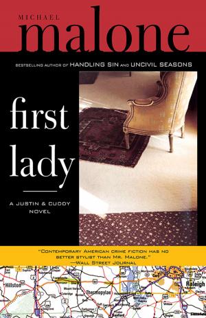 Cover of the book First Lady by Erica James