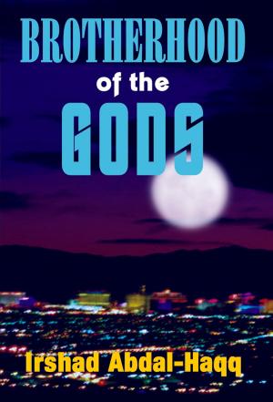 Cover of the book Brotherhood of the Gods by Judith C. Lovell
