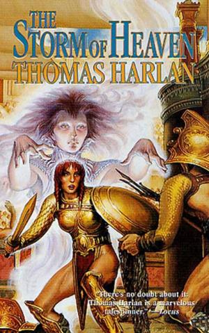 Cover of the book The Storm of Heaven by Andrew M. Greeley