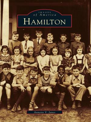 Cover of the book Hamilton by Linda H. Logan, Town of Wytheville Department of Museums