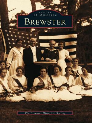 Cover of the book Brewster by Matthew Hansen, James McKee, Edward Zimmer