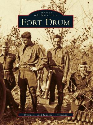 Book cover of Fort Drum