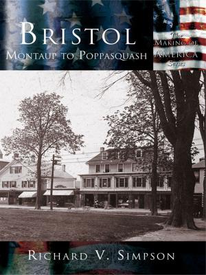 Cover of the book Bristol by Mark Chalkley