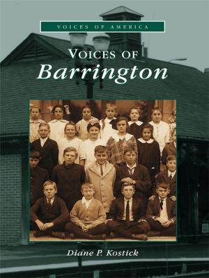 Cover of the book Voices of Barrington by Stella Fong
