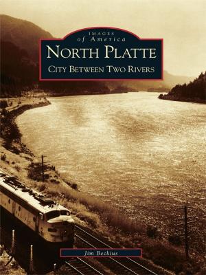 Cover of the book North Platte by Max A. Clampitt