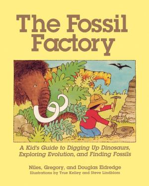 Cover of the book The Fossil Factory by Suzanne Samson