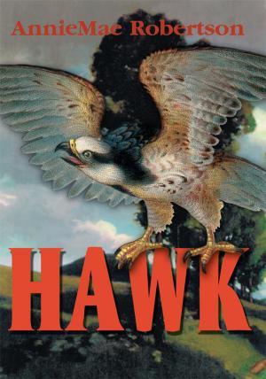 Cover of the book Hawk by J.C. Hutchins