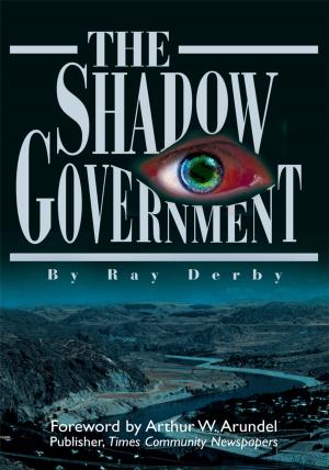 Cover of the book The Shadow Government by Diane Brown