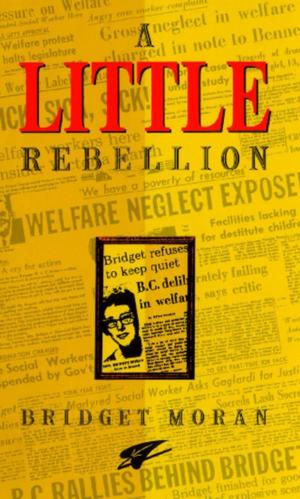 Cover of the book A Little Rebellion by Ashley Little