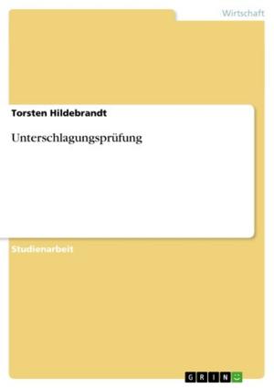 Cover of the book Unterschlagungsprüfung by Jörn Killinger, Elisabeth Hagl