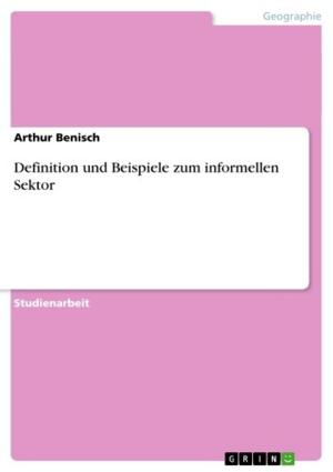 Cover of the book Definition und Beispiele zum informellen Sektor by Julia Hetzel