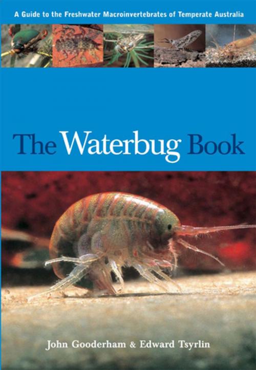 Cover of the book The Waterbug Book by John Gooderham, Edward Tsyrlin, CSIRO PUBLISHING