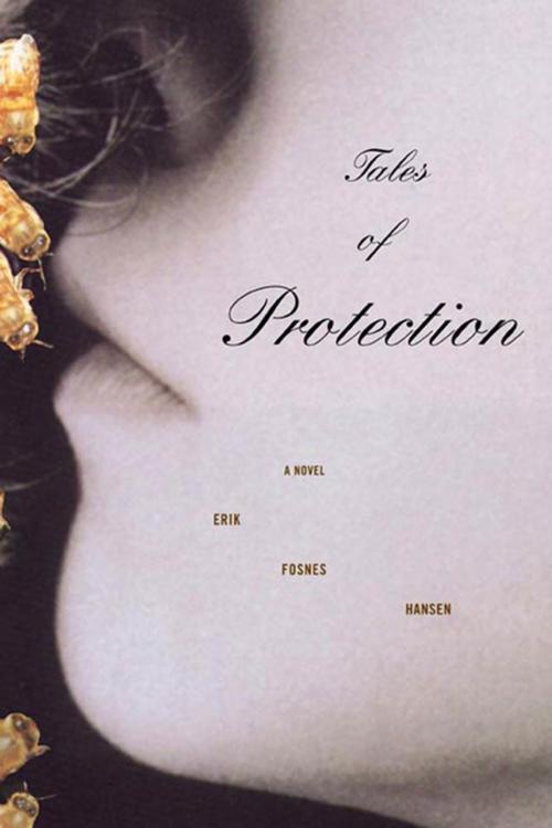 Cover of the book Tales of Protection by Erik Fosnes Hansen, Farrar, Straus and Giroux