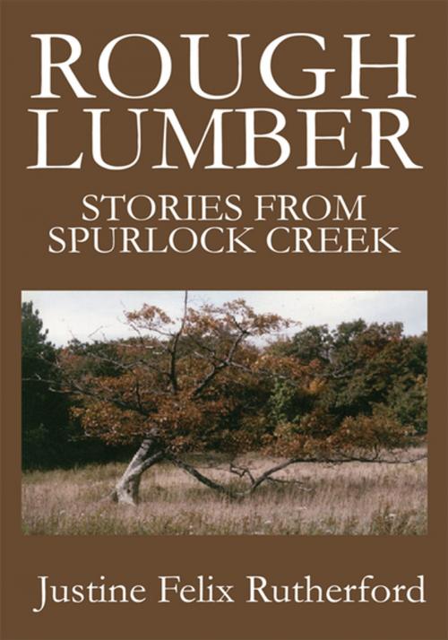 Cover of the book Rough Lumber by Justine Felix Rutherford, iUniverse
