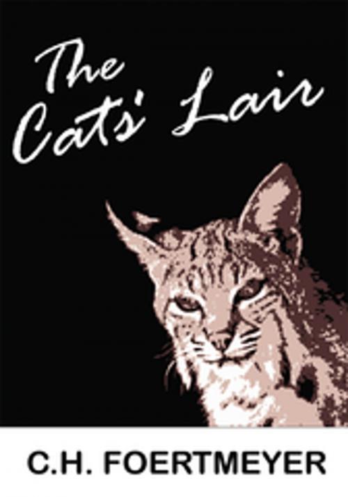 Cover of the book The Cats' Lair by C. H. Foertmeyer, iUniverse