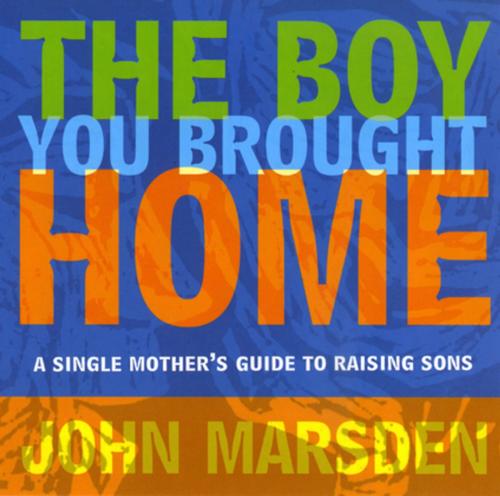Cover of the book The Boy You Brought Home by John Marsden, Pan Macmillan Australia