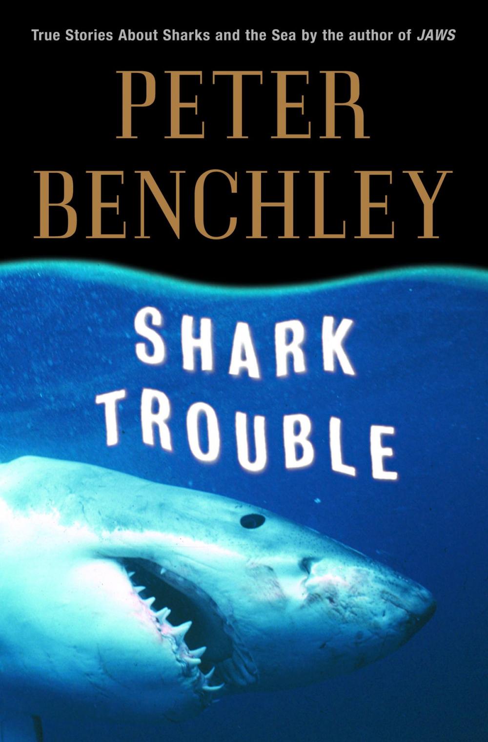Big bigCover of Shark Trouble