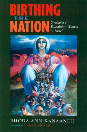 Cover of the book Birthing the Nation by Martha Biondi
