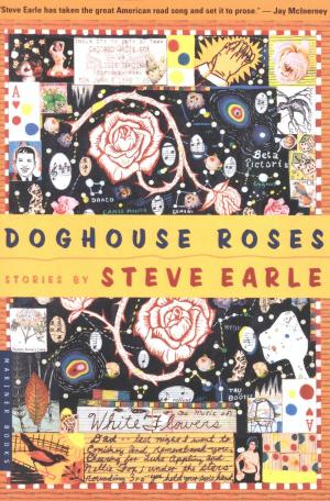Cover of the book Doghouse Roses by Mark Miodownik