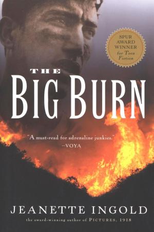 Cover of the book The Big Burn by Prof. Gail Steketee, Ph.D., Prof. Randy Frost, Ph.D.
