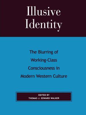 Cover of the book Illusive Identity by Louise V. North