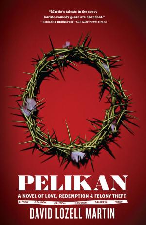 Book cover of Pelikan