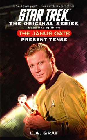 Cover of the book Present Tense by Stacia Kane