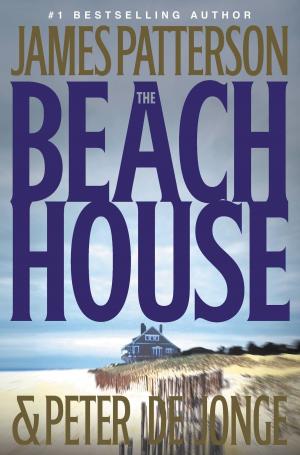 Cover of the book The Beach House by Denise Mina