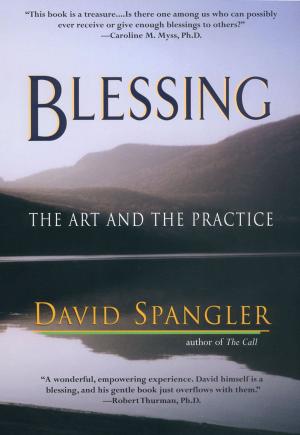 Cover of the book Blessing by Paige Shelton