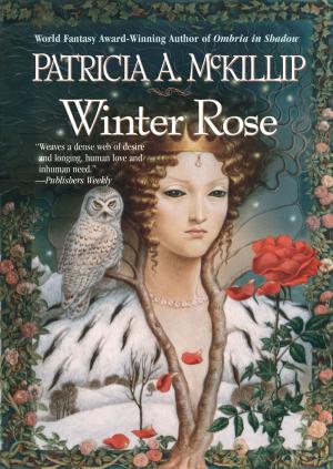 Cover of the book Winter Rose by Simone St. James