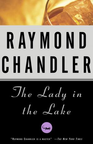 Cover of the book The Lady in the Lake by James Rosen