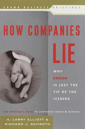 Cover of the book How Companies Lie by Kerry Shook, Chris Shook