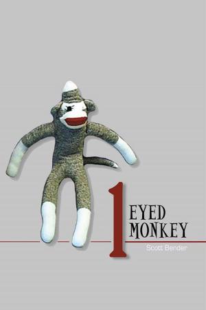 Cover of the book 1 Eyed Monkey by Yelda Eser