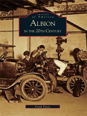 bigCover of the book Albion in the 20th Century by 