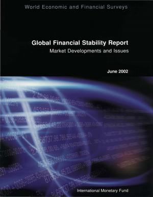 Cover of Global Financial Stability Report, June 2002