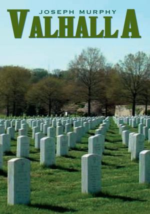 Cover of the book Valhalla by Karen Marie Schalk