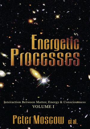 Cover of the book Energetic Processes by kirthi Jayakumar, Elsie Reed
