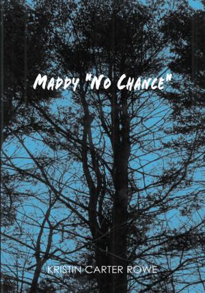 Cover of the book Maddy "No Chance" by Reuben H. Siverling