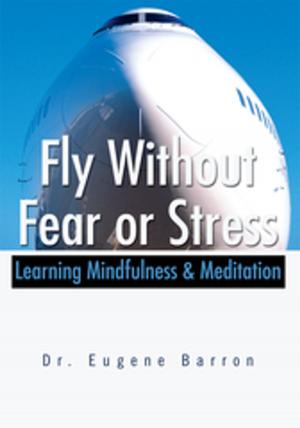 Book cover of Fly Without Fear or Stress