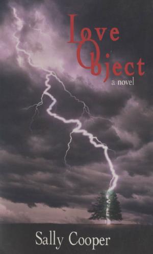 Cover of the book Love Object by Ward McBurney