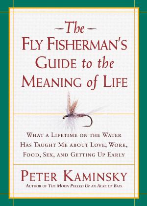 Book cover of The Fly Fisherman's Guide to the Meaning of Life
