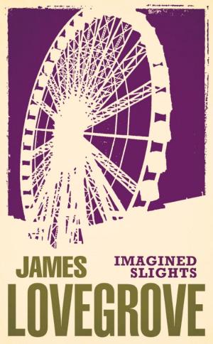Cover of the book Imagined Slights by Paul Kane, Cavan Scott, Simon Guerrier