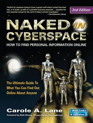 Cover of the book Naked in Cyberspace by David Lee King