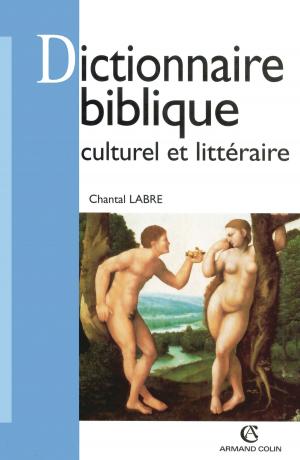 Cover of the book Dictionnaire biblique culturel et littéraire by Francis Vergne