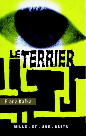 Cover of the book Le Terrier by Emmanuel Pierrat
