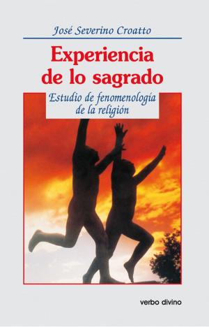 Cover of the book Experiencia de lo sagrado by Luiz Carlos Susin, Regina Ammicht Quinn, Lisa Sowle Cahill